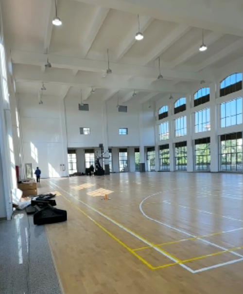 4733debc-9aa1-4d8c-a703-b34043f6f678